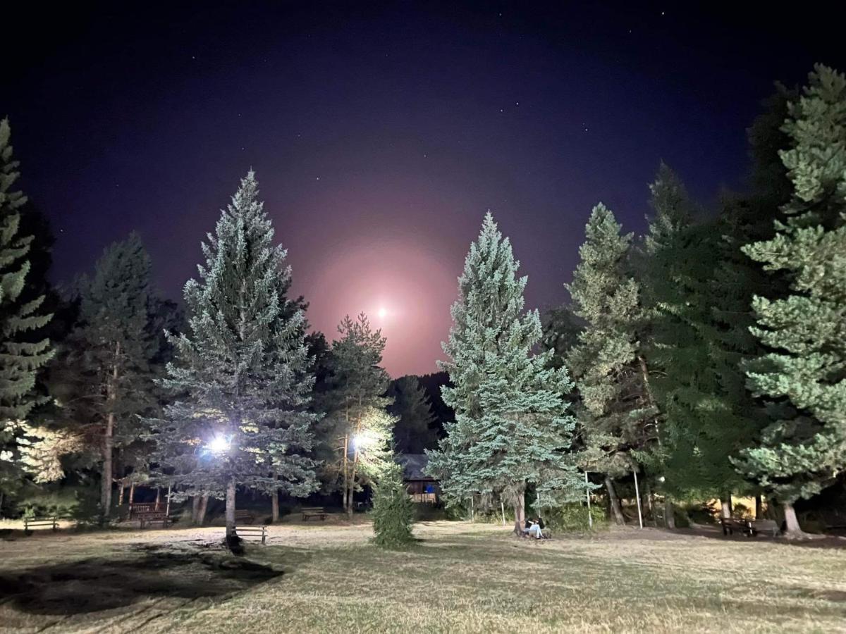 Mountain Resort Gantiadi Borjomi Luaran gambar